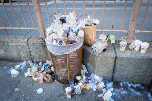 Photo for Trash overflow near park entrance